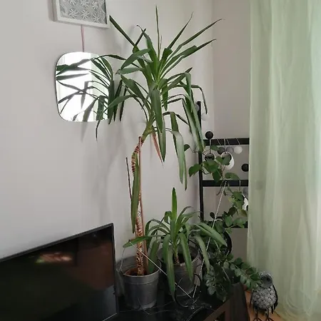 Emma Apartmán