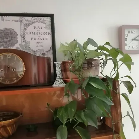 Apartmán Emma Nova Lesna